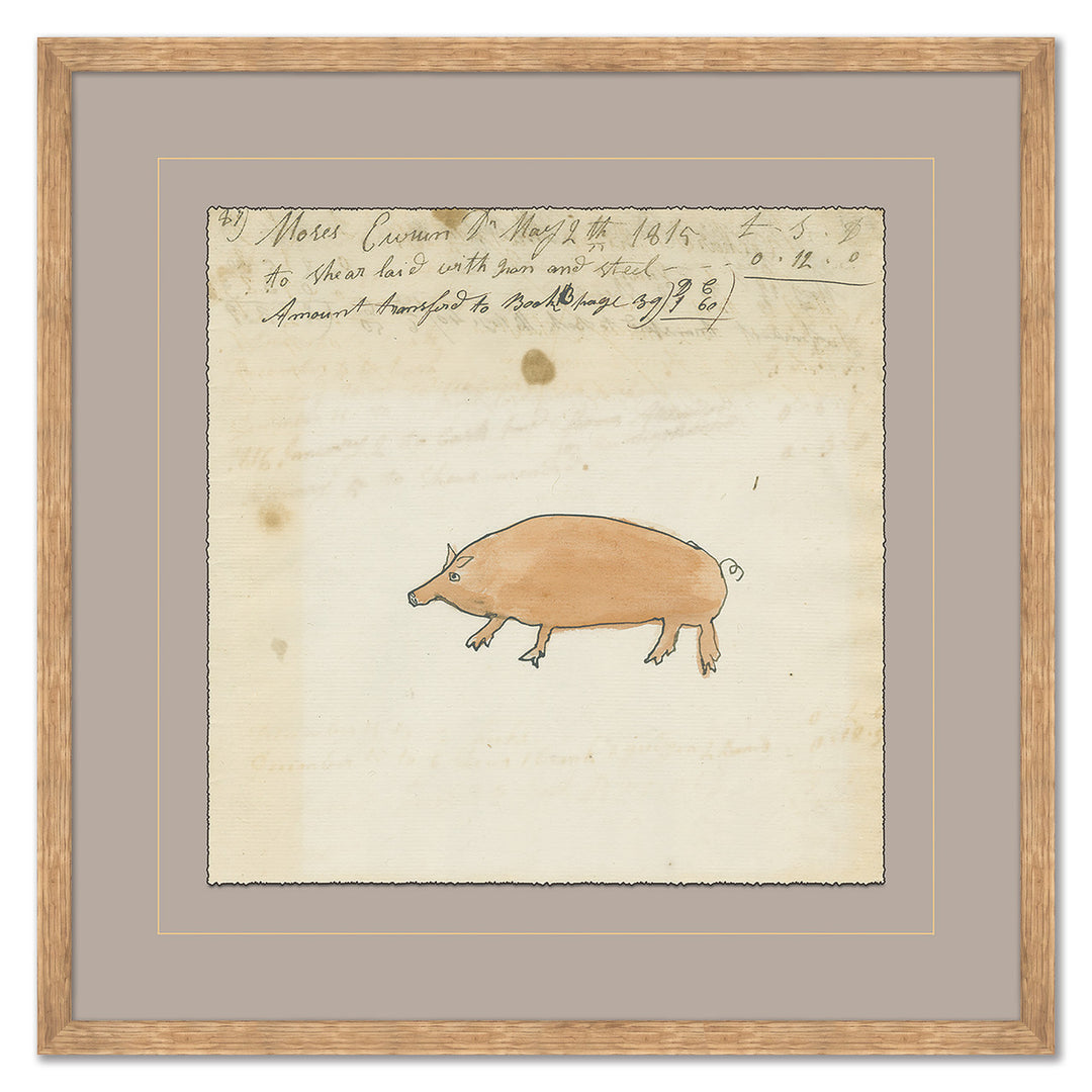 Pig - Mennonite Ledger Drawing by Soicher Marin