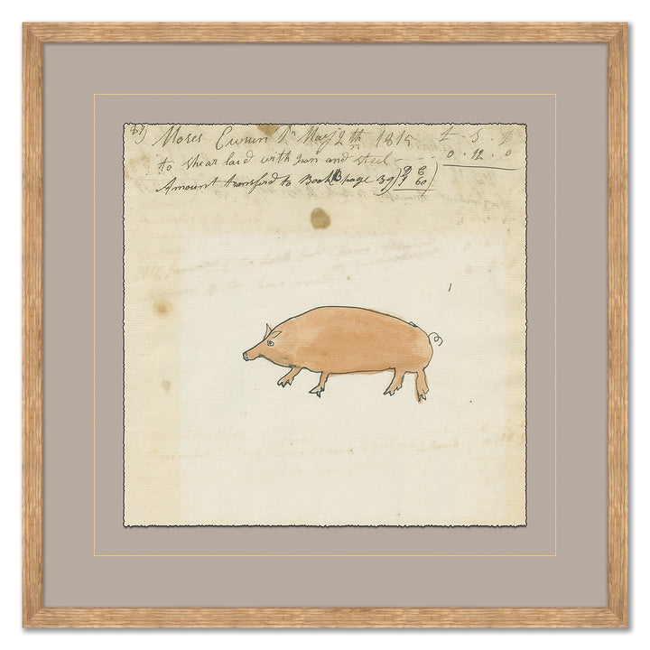 Pig - Mennonite Ledger Drawing by Soicher Marin