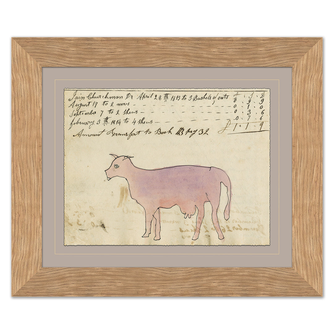 Pink Cow - Mennonite Ledger Drawing by Soicher Marin