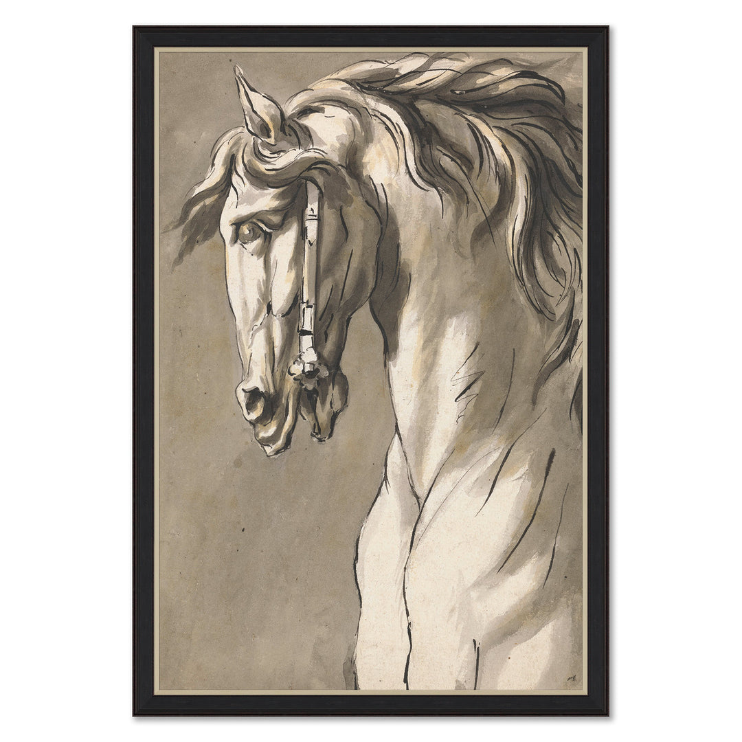 Study of a Horses Head, John Micheal by Soicher Marin