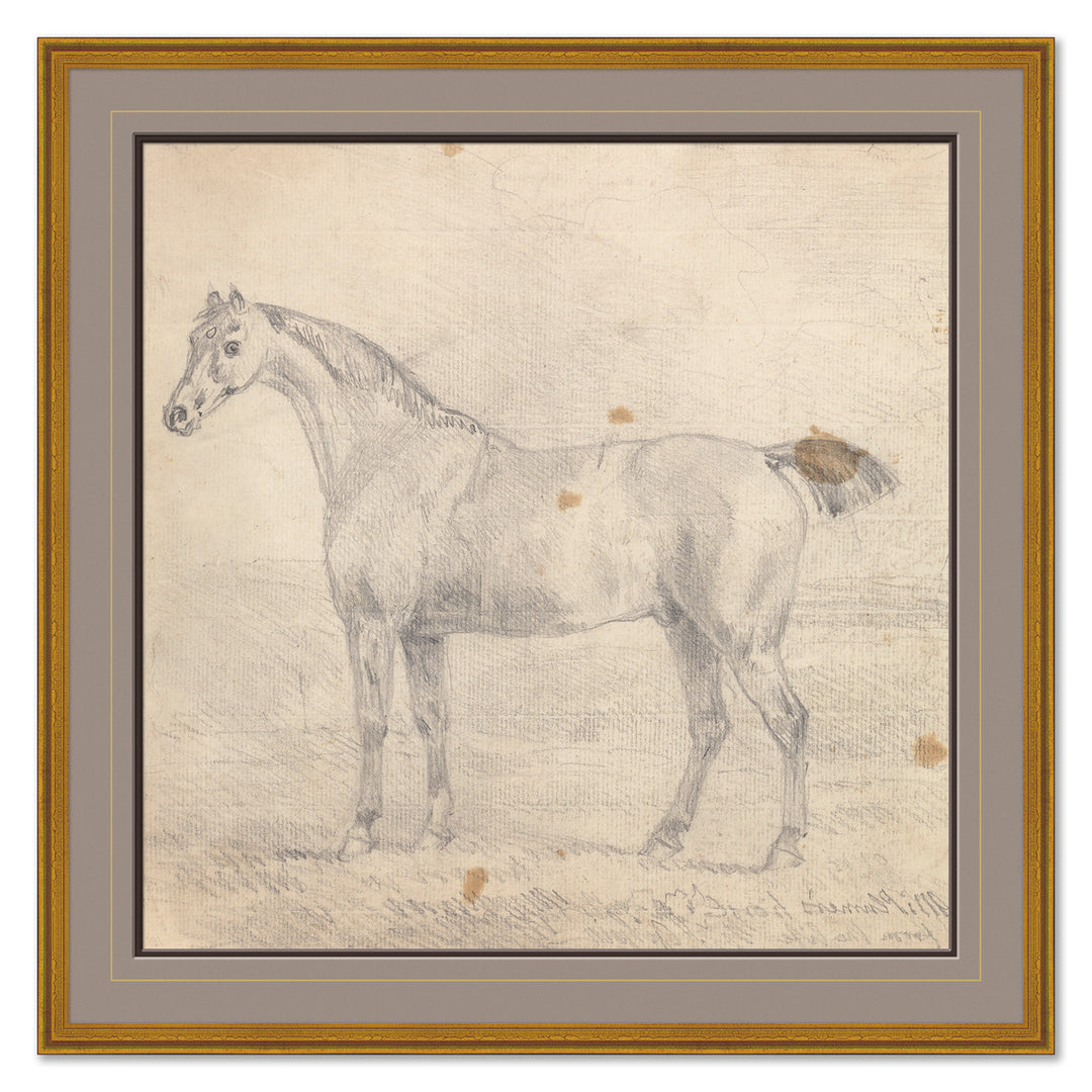 Mr. Plumer's Horse, Sawrey Gilpin by Soicher Marin