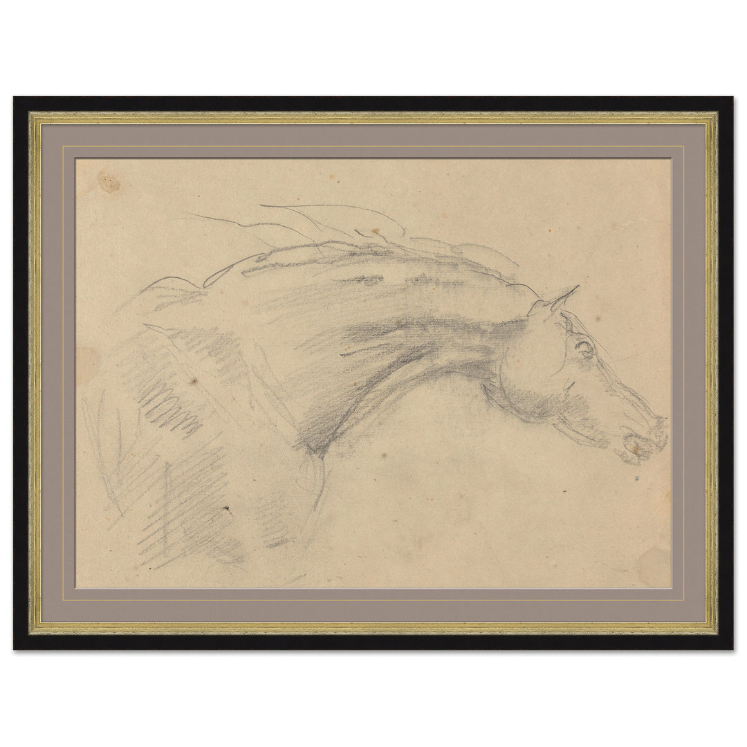 Sketch of Horses Head, Sawrey Gilpin by Soicher Marin