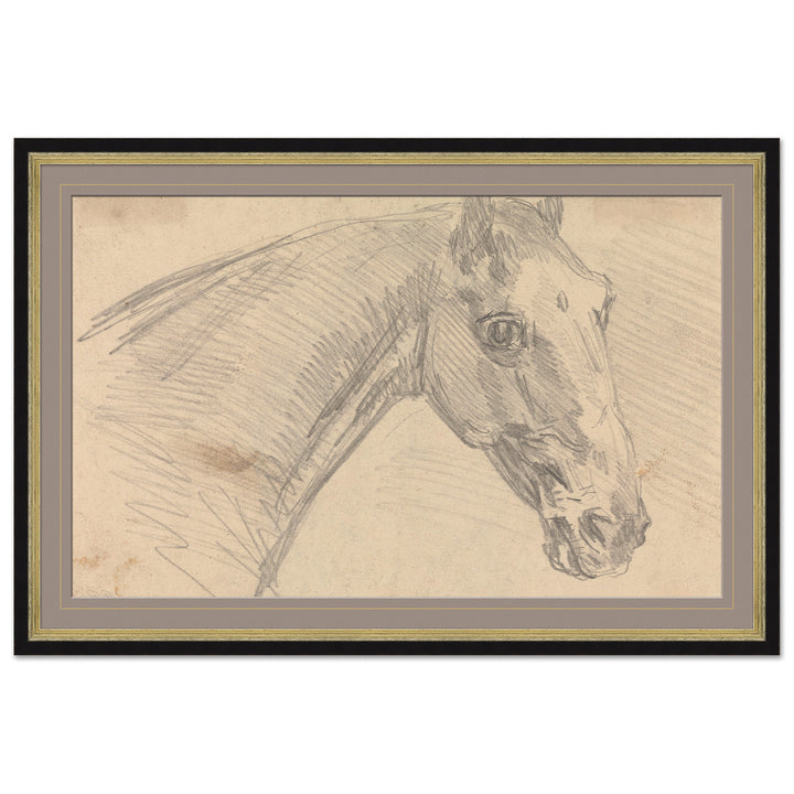 Study of a Horse, Sawrey Gilpin by Soicher Marin