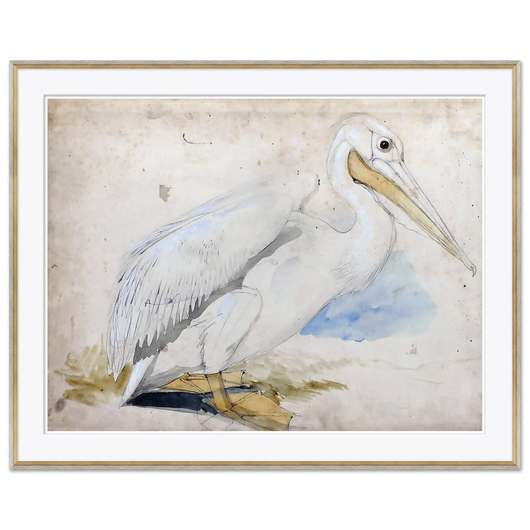 Sea Birds 1 by Soicher Marin