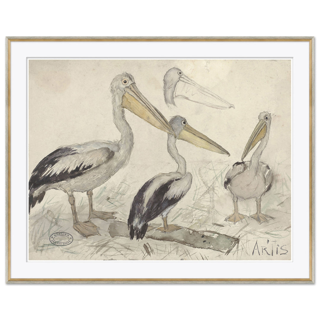Sea Birds 2 by Soicher Marin