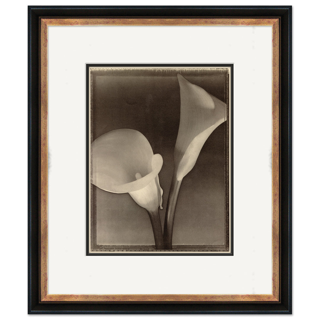 Sepia Flowers 12 by Soicher Marin