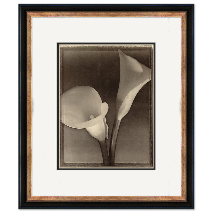 Sepia Flowers 12 by Soicher Marin