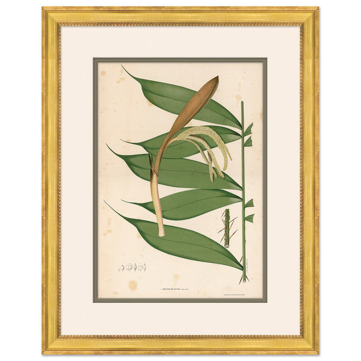 Palm Leaves 3 by Soicher Marin