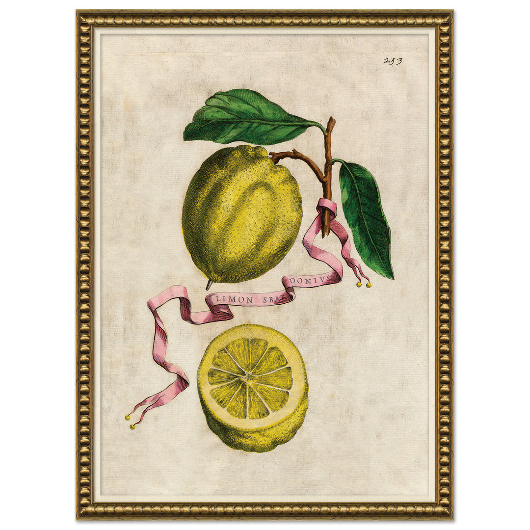 Lemons & Pink Ribbons 2 by Soicher Marin