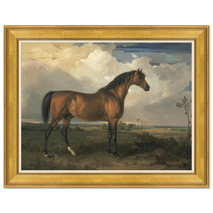 Champion Horse I by Soicher Marin