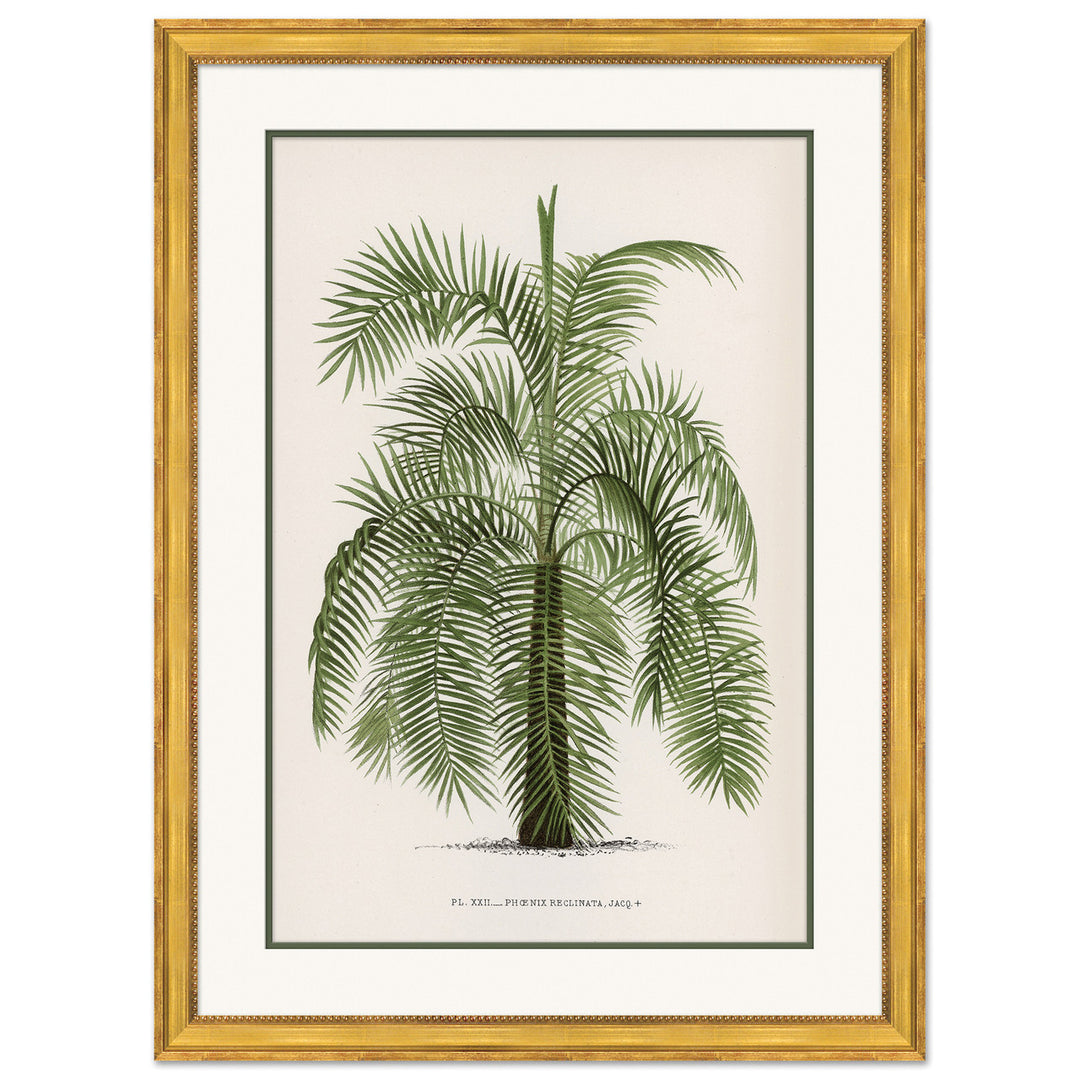 Palms 2 by Soicher Marin