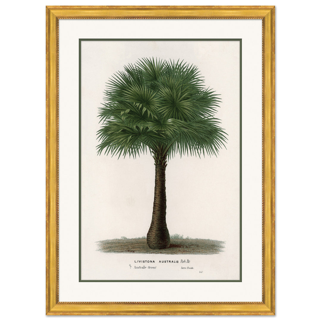 Palms 3 by Soicher Marin