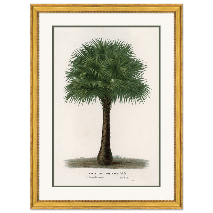 Palms 3 by Soicher Marin