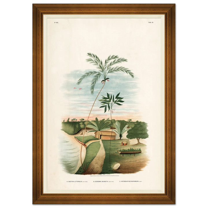 African Palms 2 by Soicher Marin