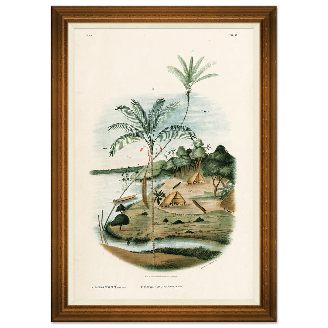 African Palms by Soicher Marin