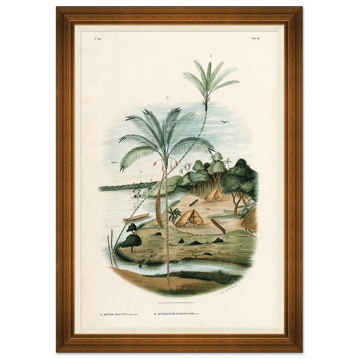 African Palms by Soicher Marin