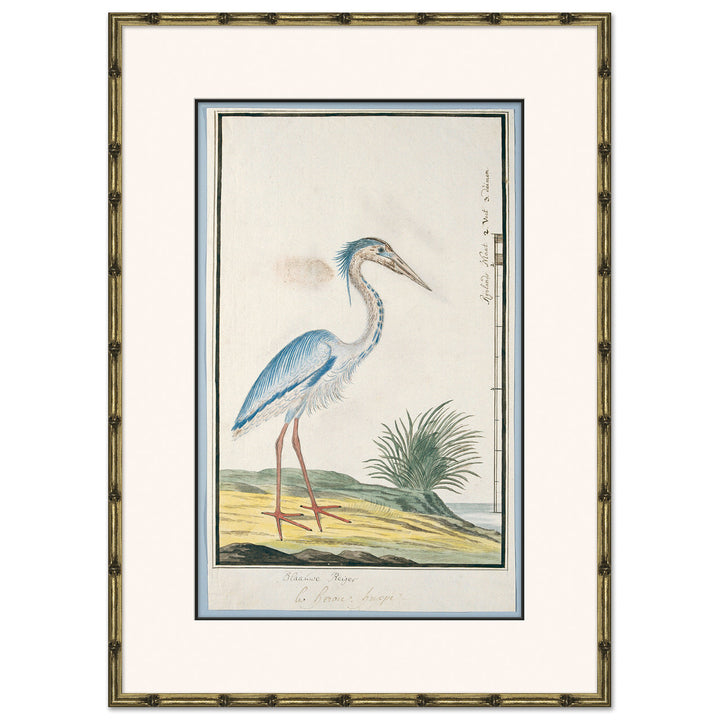 Bird Drawings, circa 1777 1 by Soicher Marin