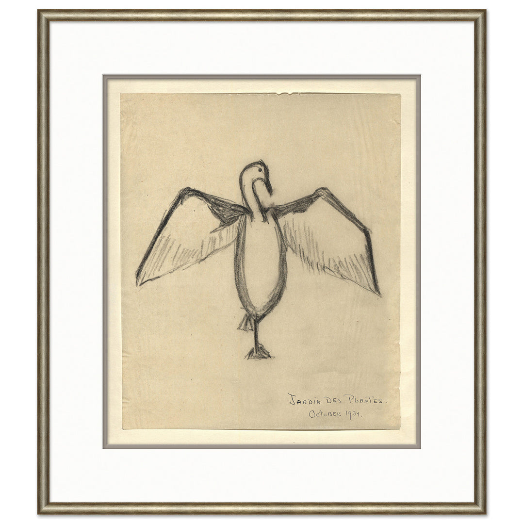 At the Zoo Sketch Series - Bird by Soicher Marin
