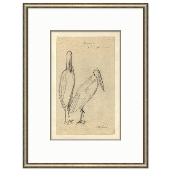 At the Zoo Sketch Series - Birds by Soicher Marin