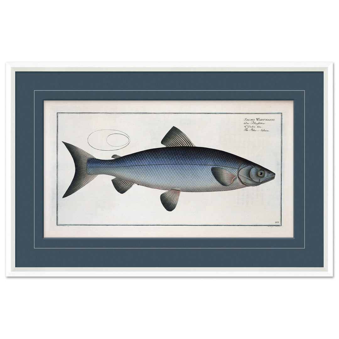 Blue Fish 4 by Soicher Marin