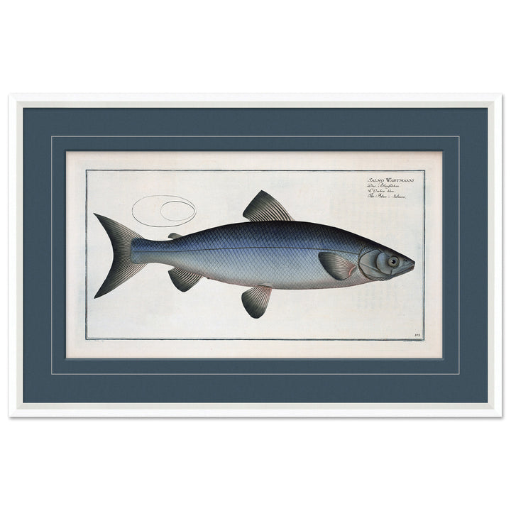 Blue Fish 4 by Soicher Marin