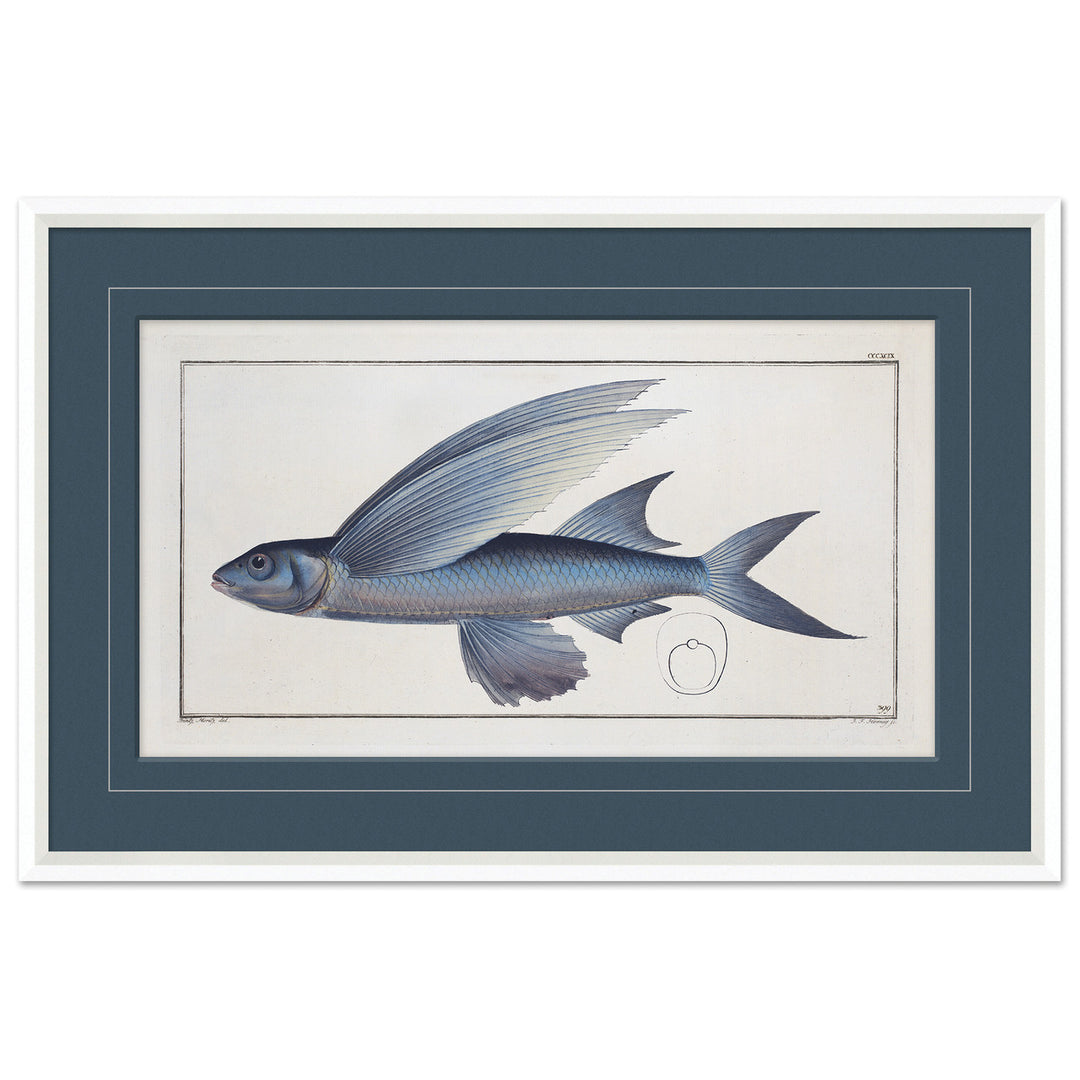 Blue Fish 5 by Soicher Marin