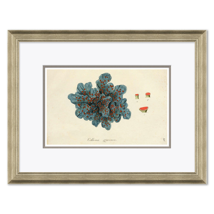 Blue Coral by Soicher Marin