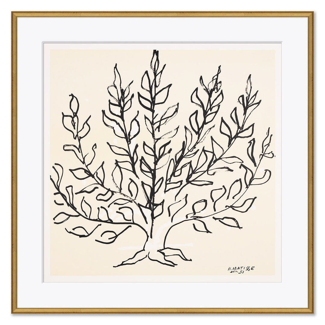 Le Buisson by Soicher Marin