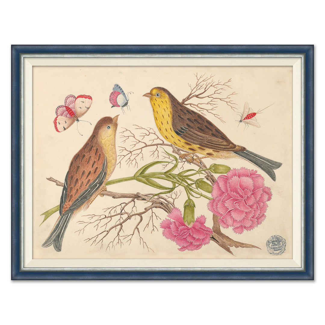 18th Century Floral Bouquets with Birds I by Soicher Marin