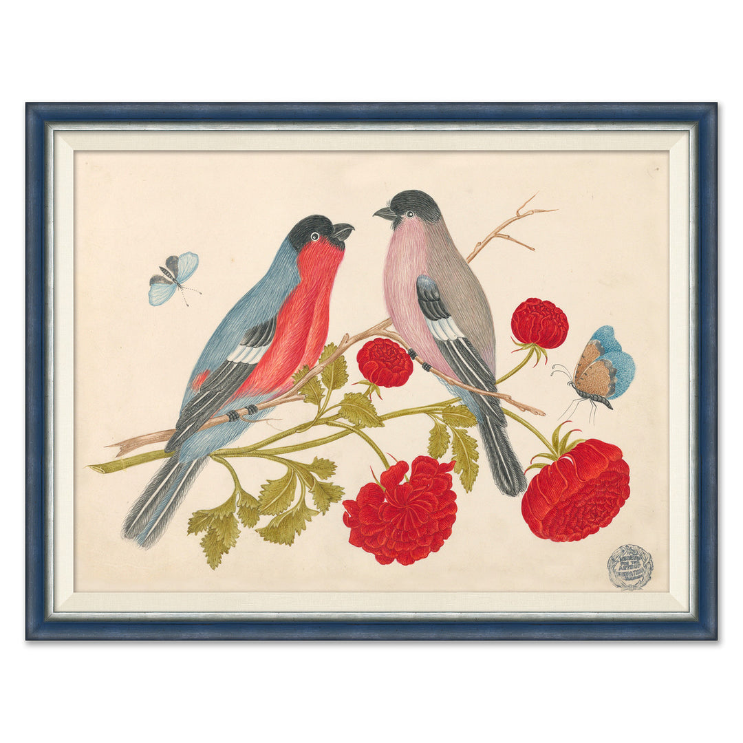 18th Century Floral Bouquets with Birds VI by Soicher Marin
