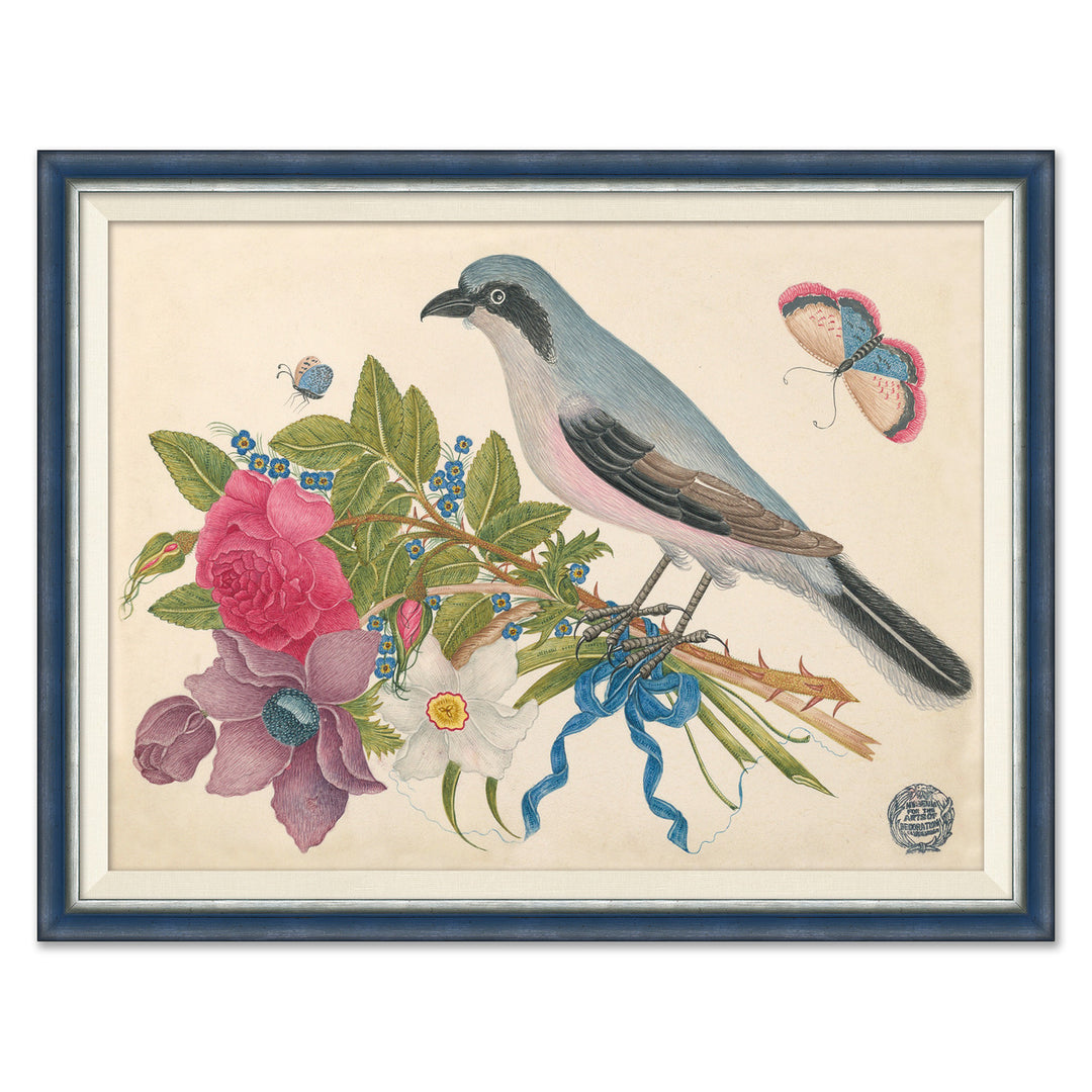 18th Century Floral Bouquets with Birds VIII by Soicher Marin