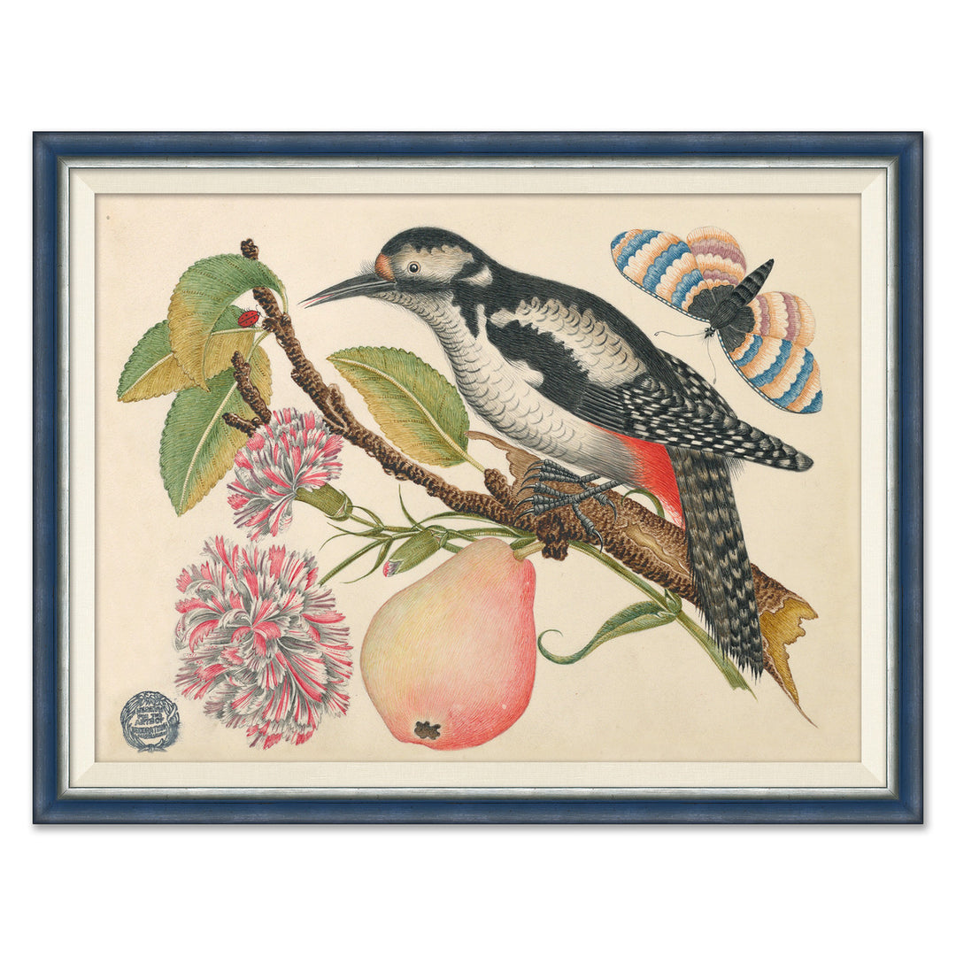 18th Century Floral Bouquets with Birds XII by Soicher Marin