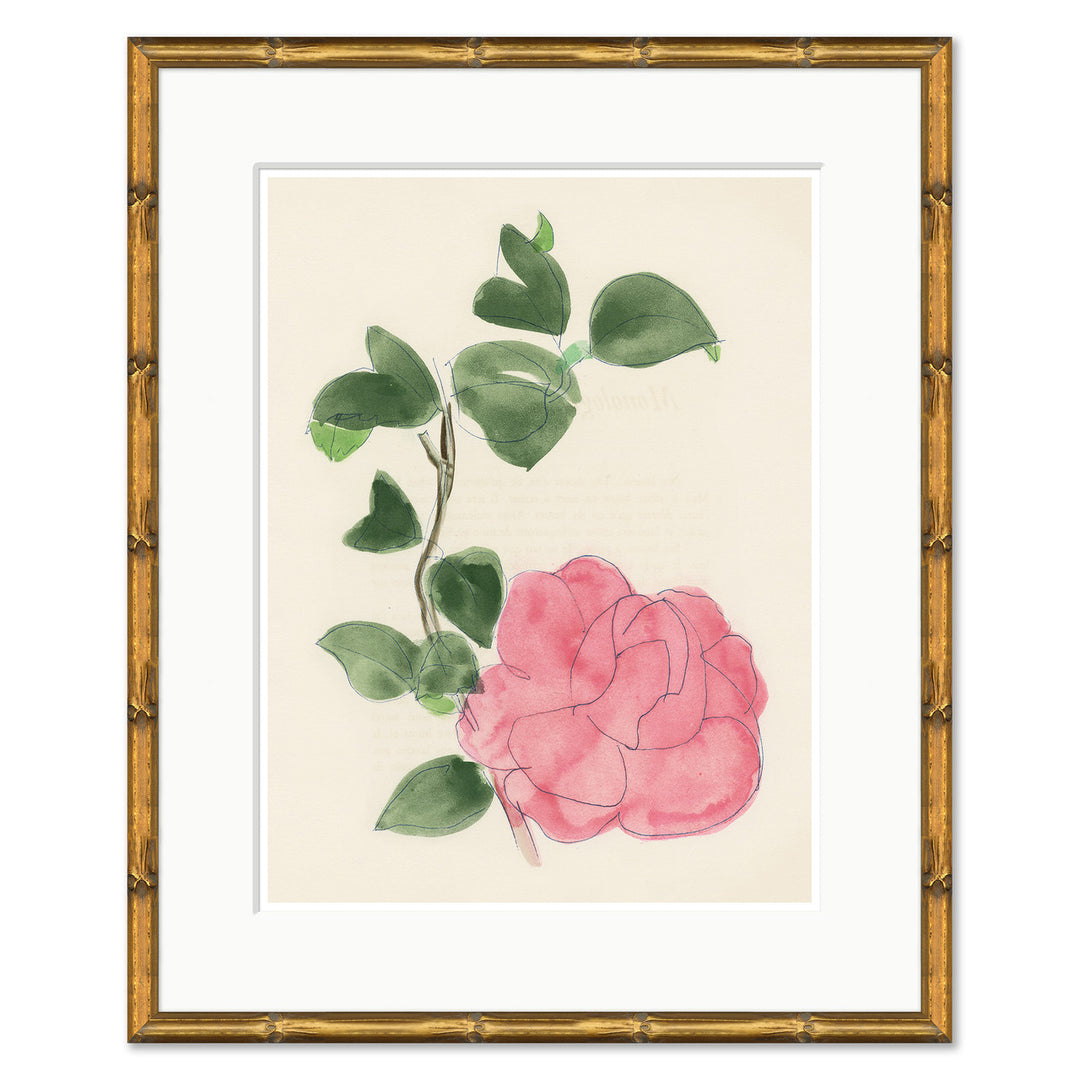 Rose by Dufy by Soicher Marin