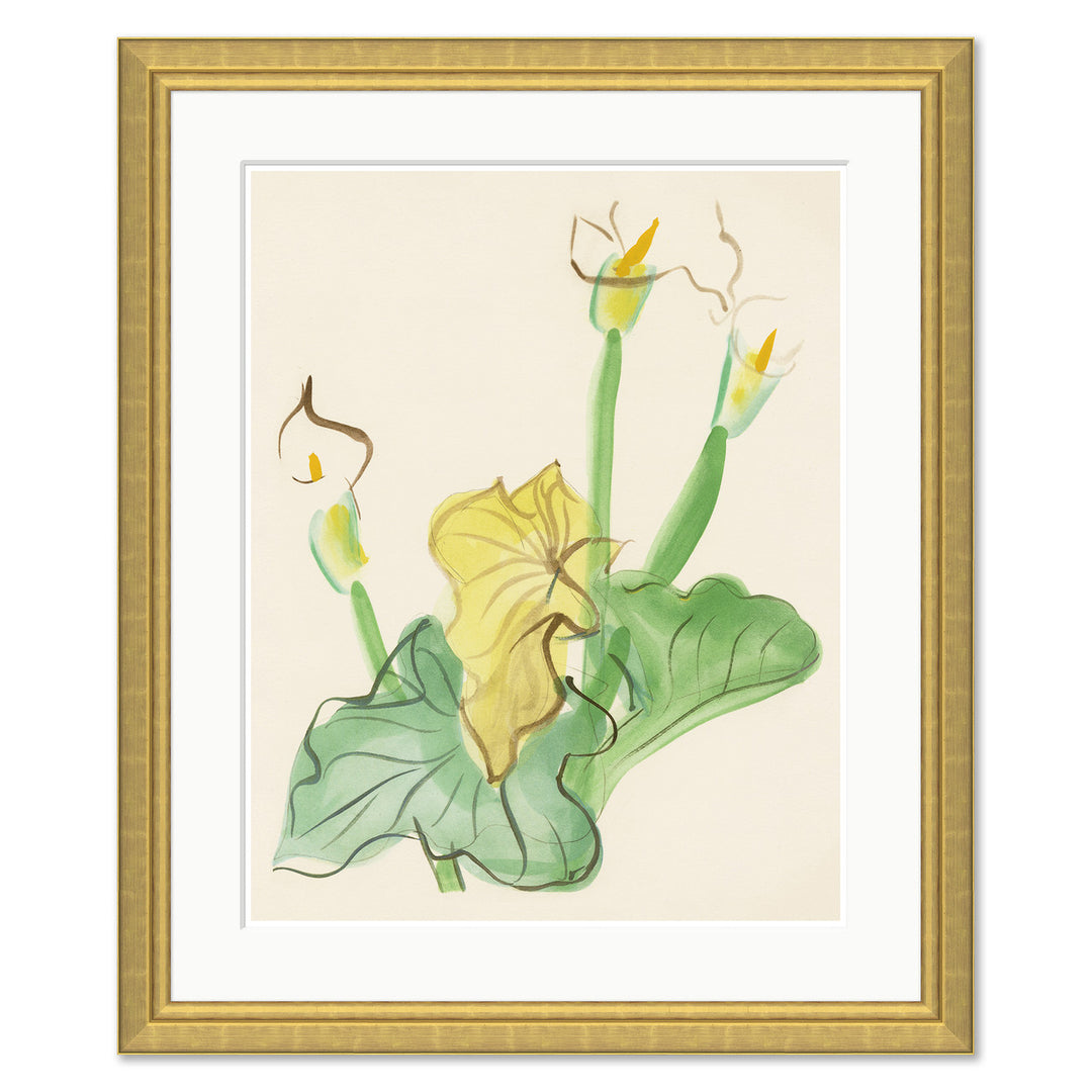 Cala Lily by Dufy by Soicher Marin