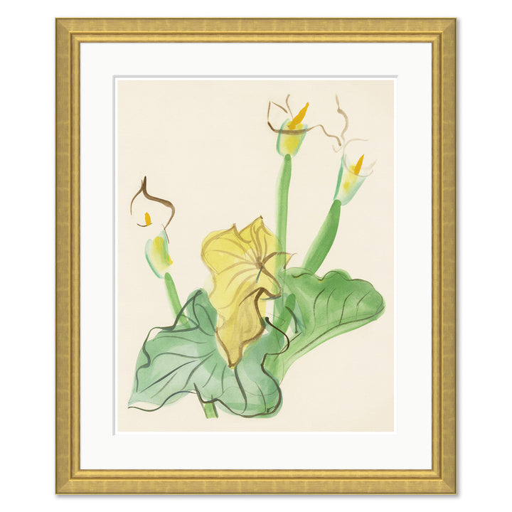Cala Lily by Dufy by Soicher Marin