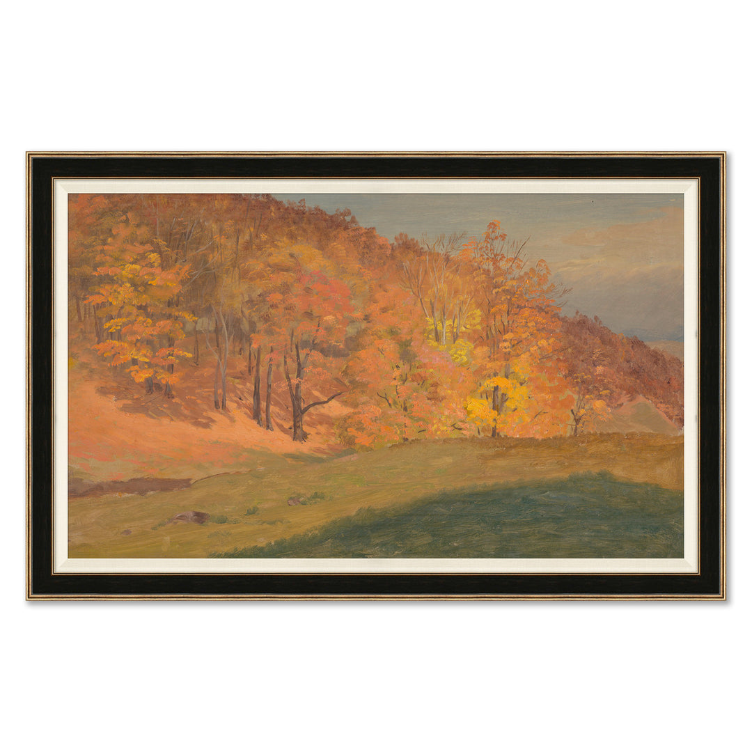 Autumn Woods by Soicher Marin