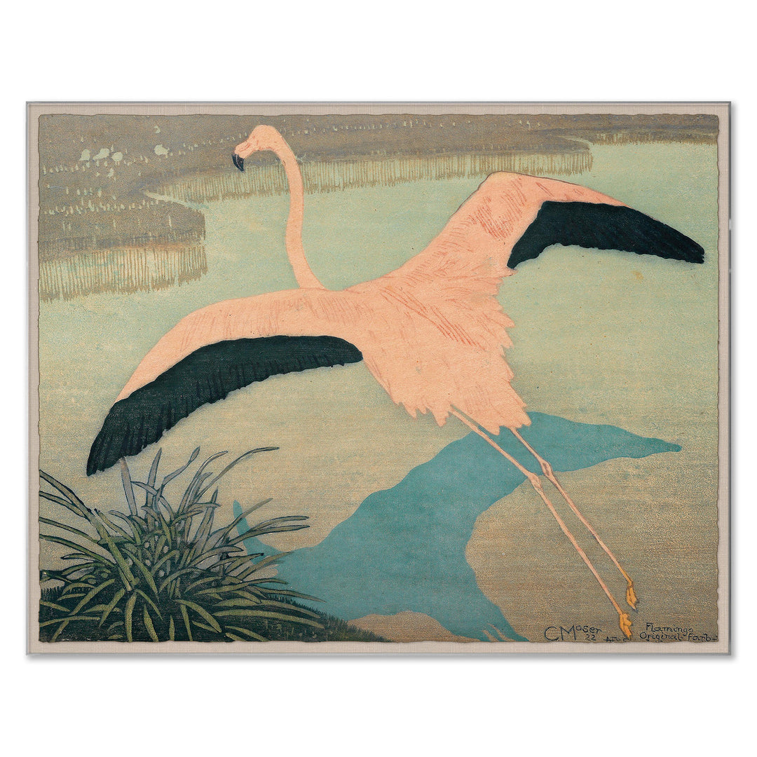 Flamingo by Soicher Marin