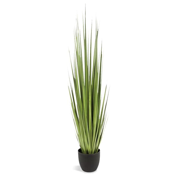 Century Grass Potted-Gold Leaf Design Group-GOLDL-PB2572-60-Faux Plants60"H-1-France and Son