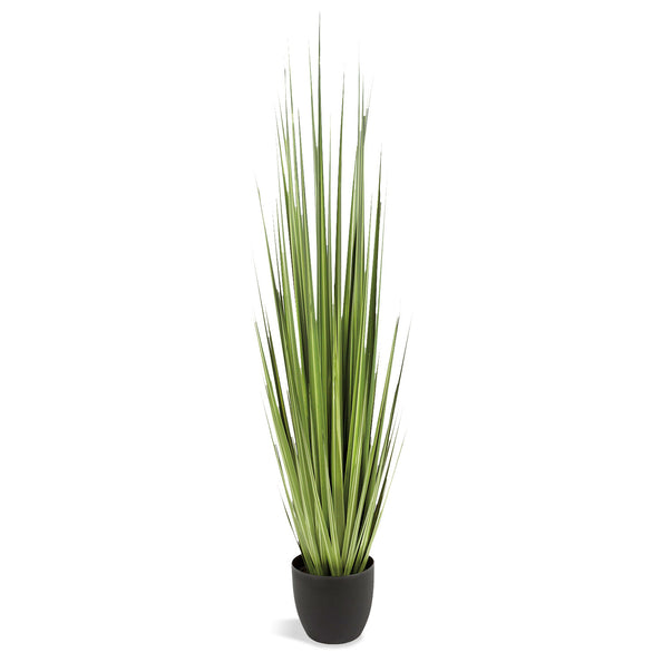 Century Grass Potted-Gold Leaf Design Group-GOLDL-PB2572-60-Faux Plants60"H-1-France and Son