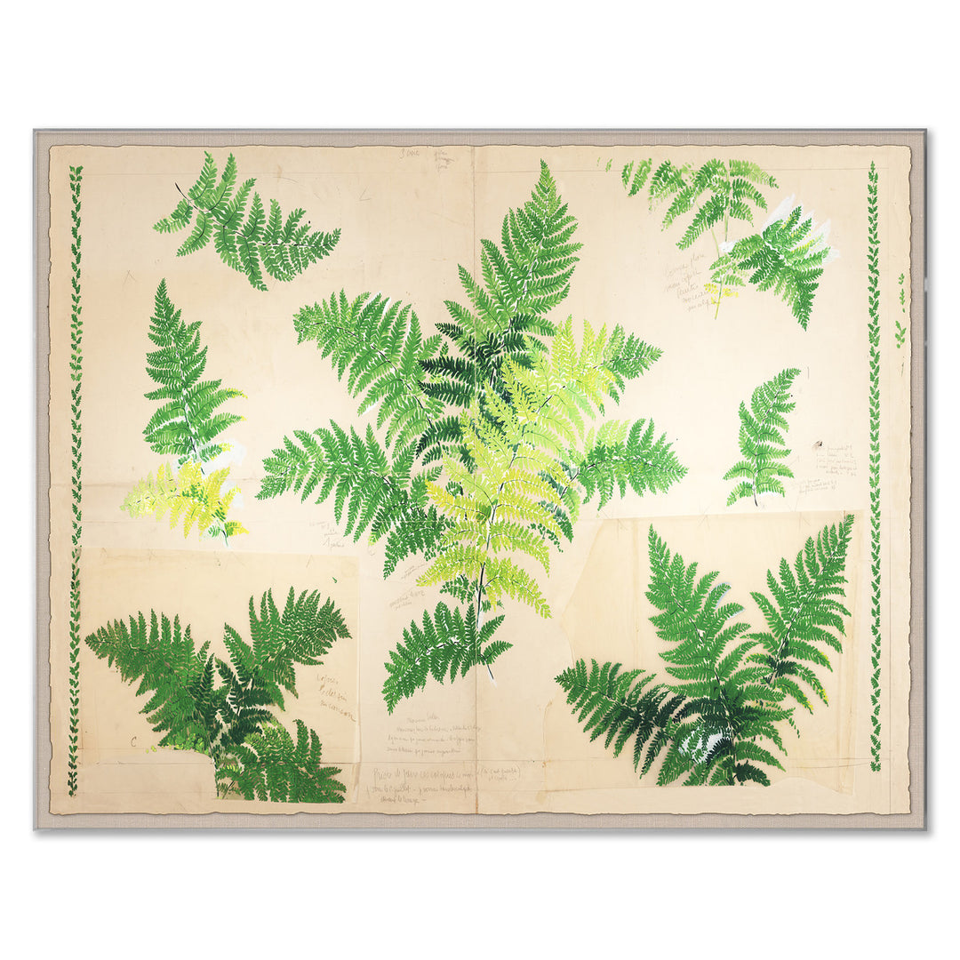 PM-23-0205 Paule Marrot, Fern by Soicher Marin
