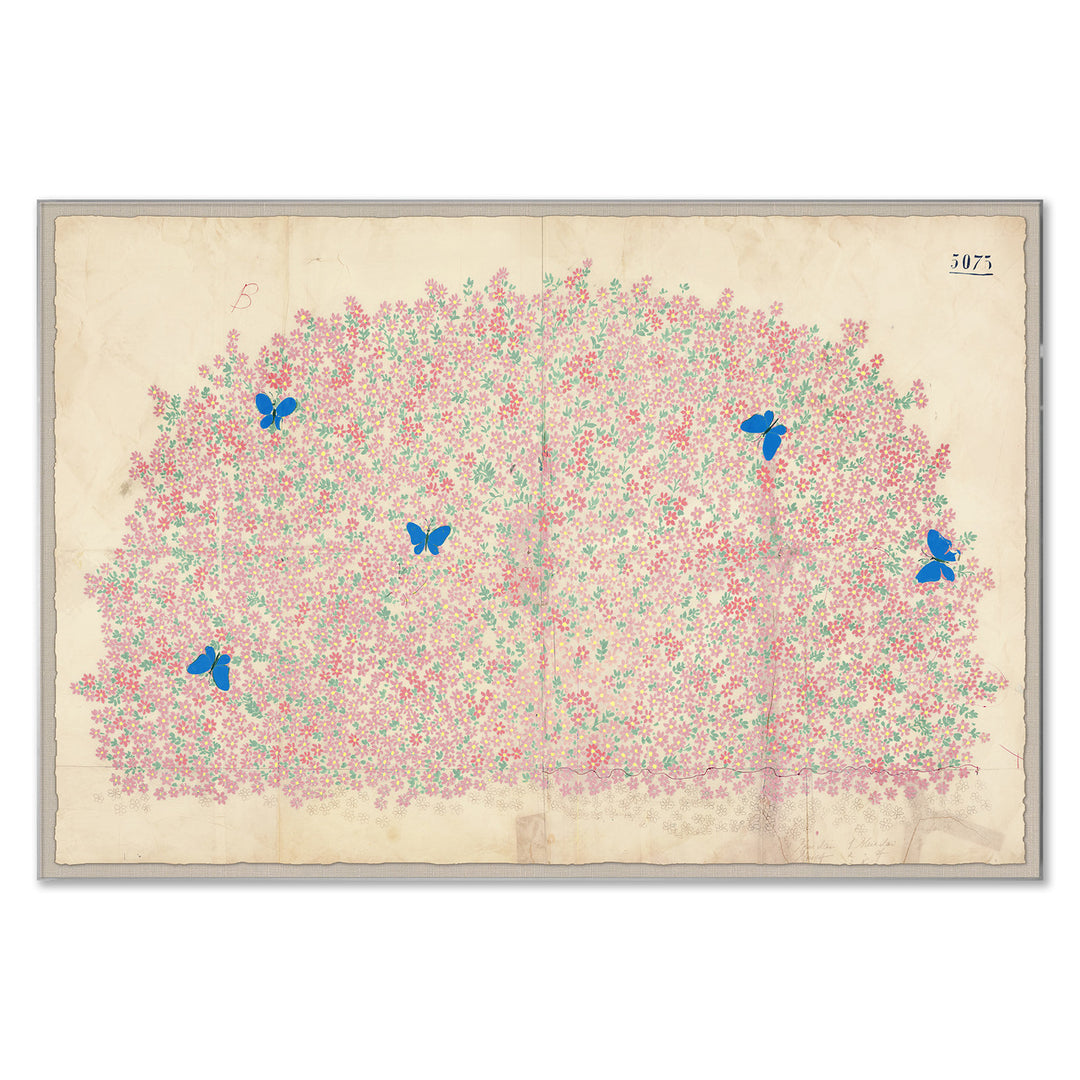 PM-24-0280 Paule Marrot, Myosotis by Soicher Marin
