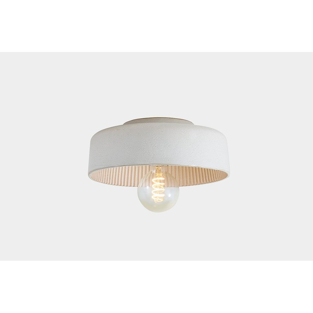 Flush Mounts Ray Flush Mount