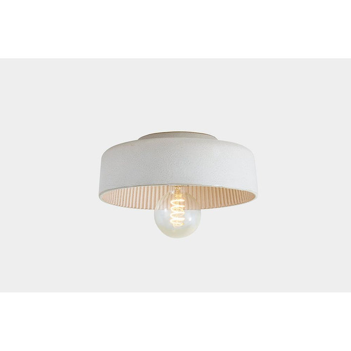 Flush Mounts Ray Flush Mount