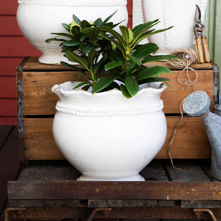 Rustic Garden Dotted Round Planter