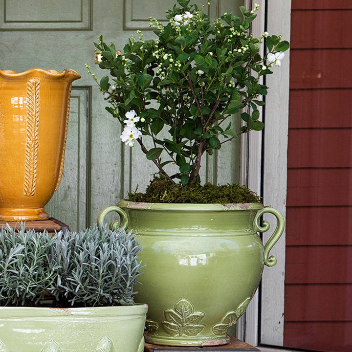 Rustic Garden Basil Round Planter