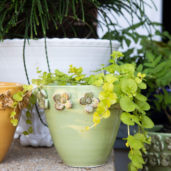 Rustic Garden Cachepot
