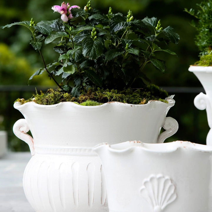 Rustic Garden Scallop Planter