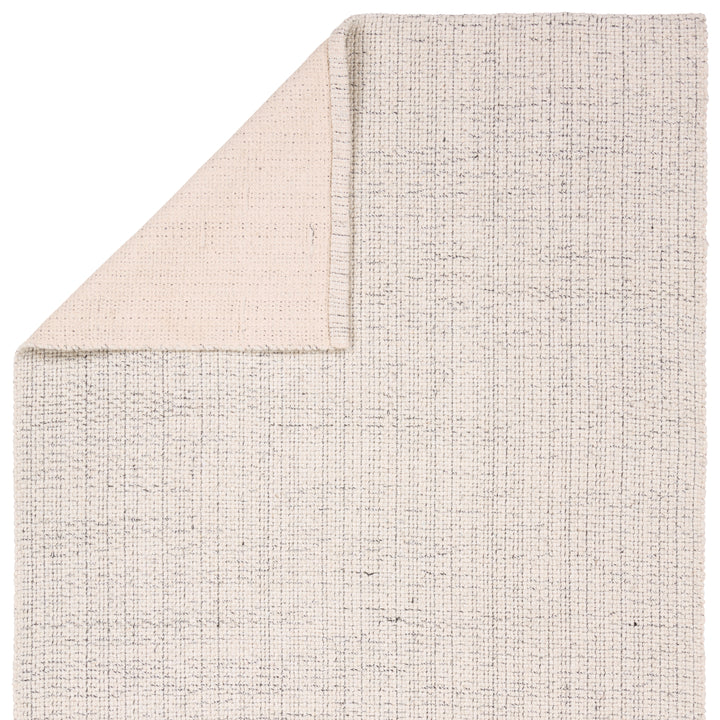 Jaipur Living Iwan Hand Woven Area Rug (8'6"x11'6")