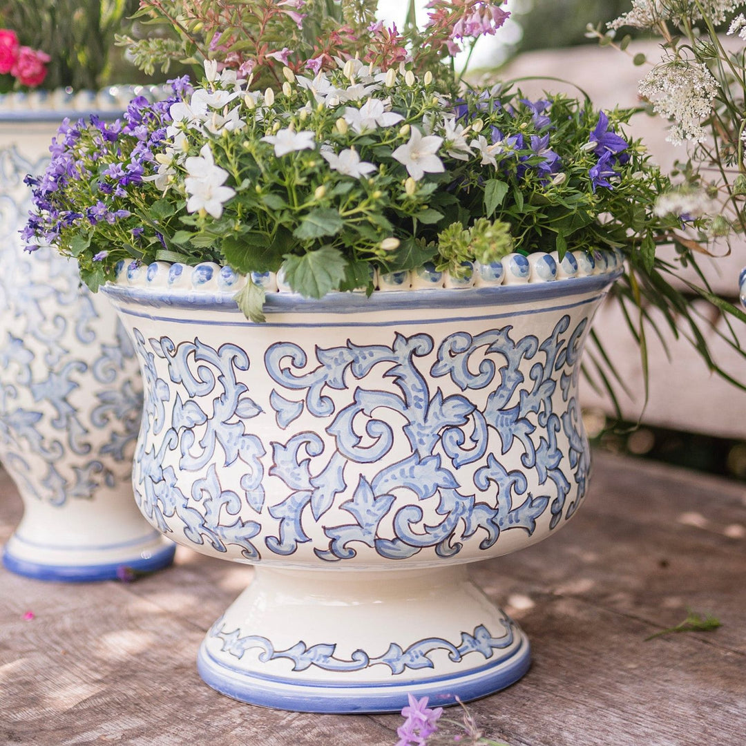Scorrimento Blu Planter