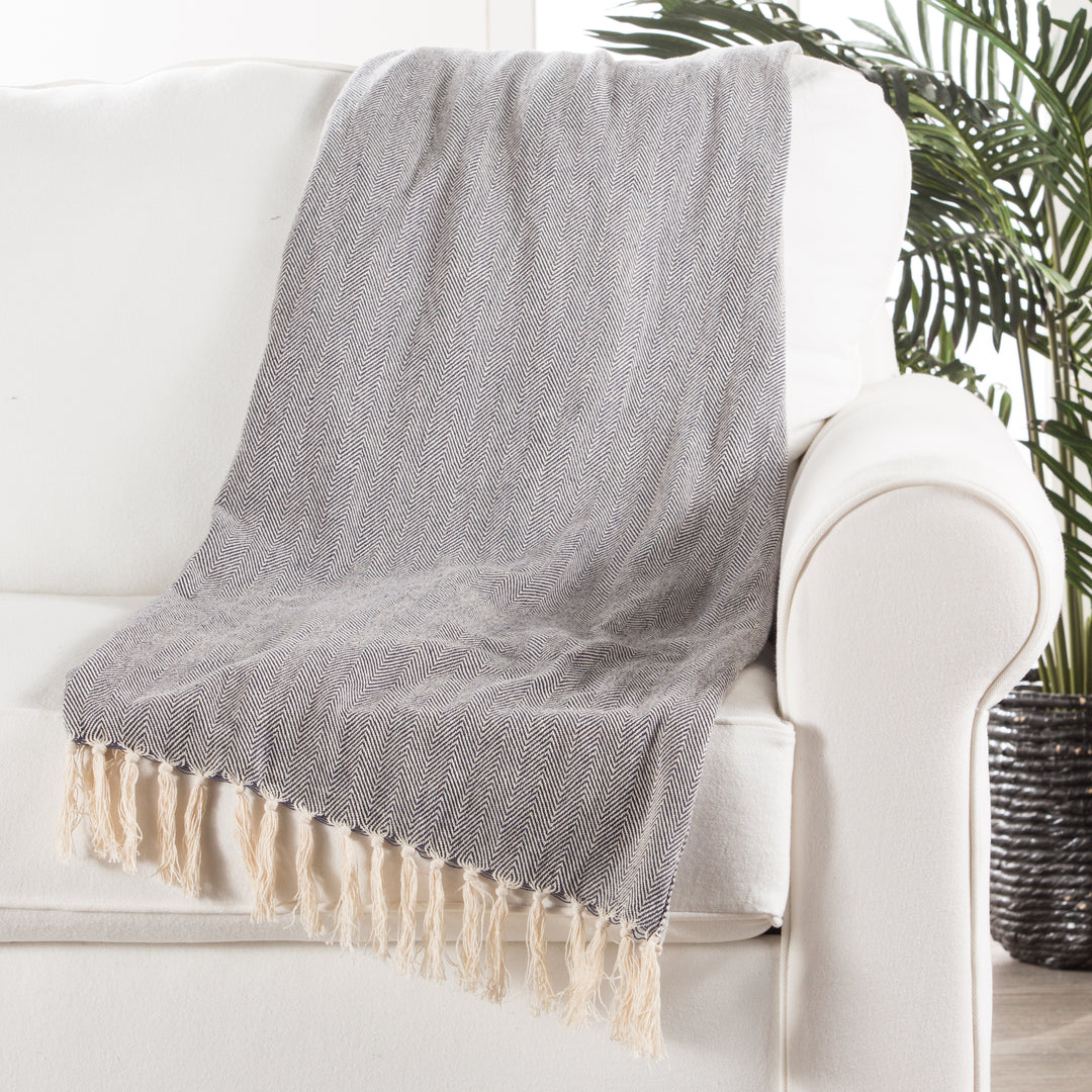 Jaipur Living Cannon Blue/ Cream Chevron Throw